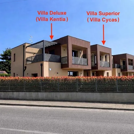 Villa Palm Manerba del Garda